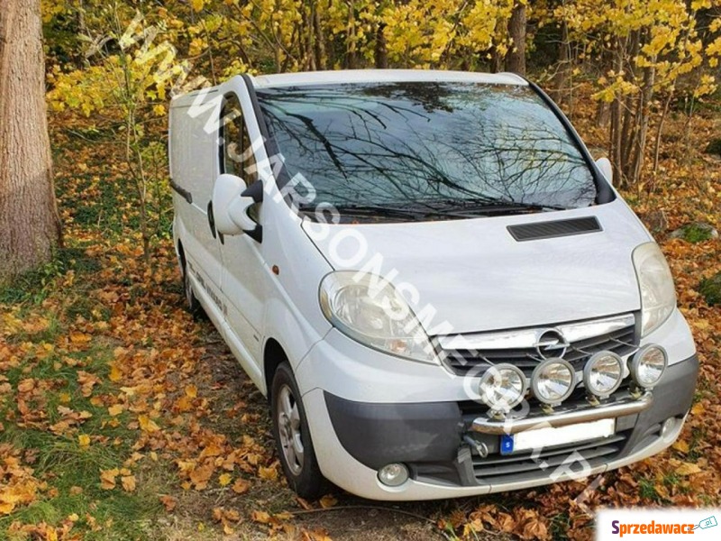 Opel Vivaro  Minivan/Van 2011,  2.0 diesel - Na sprzedaż za 26 850 zł - Kiczyce