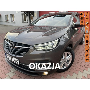 Opel Grandland X - Blis,Czyt. Znaków,Kamery,Led,Navi, Serwis //GWARANCJA/