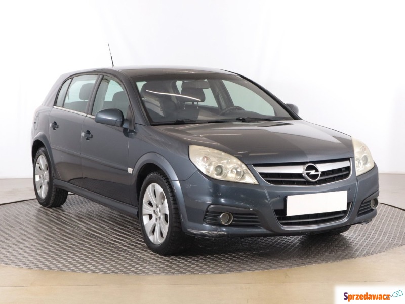 Opel Signum  Hatchback 2007,  2.0 diesel - Na sprzedaż za 5 999,00 zł - Zabrze