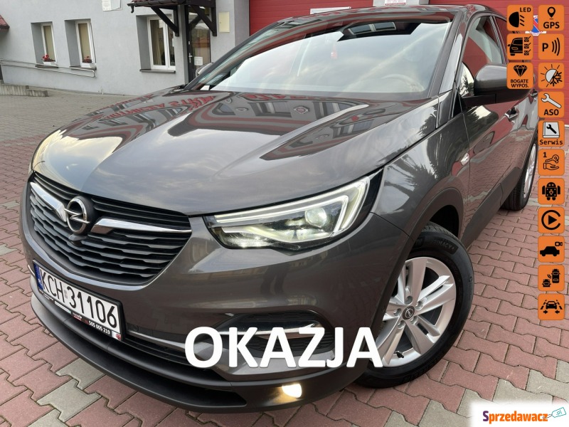 Opel Grandland X - Blis,Czyt. Znaków,Kamery,L... - Samochody osobowe - Zagórze