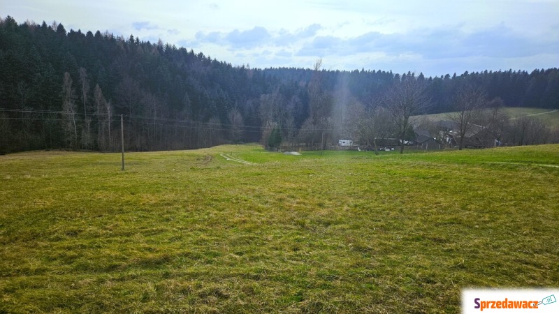 Działka siedlisko Lipnica Wielka sprzedam, pow. 9900 m2  (0.99ha)