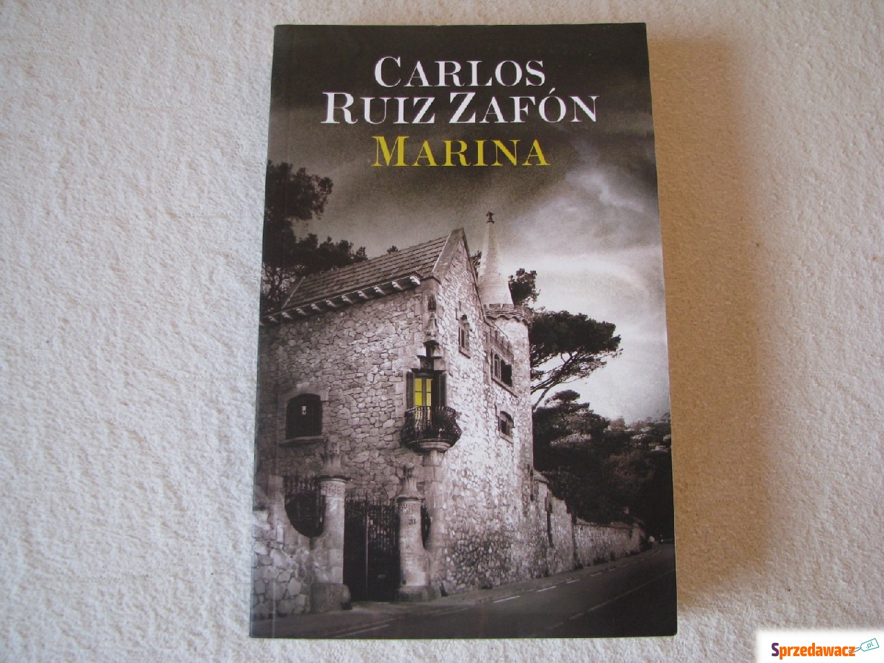 Carlos Ruiz Zafon Marina
