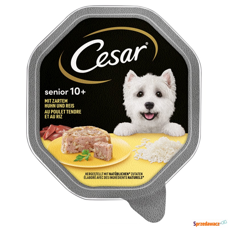 Cesar Senior 10+ w tackach, 14 x 150 g - Kurczak... - Karmy dla psów - Zielona Góra