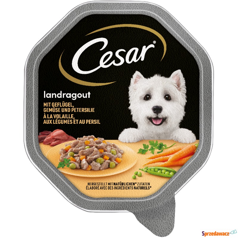 Cesar w tackach, 14 x 150 g - Landragout, drób... - Karmy dla psów - Bydgoszcz