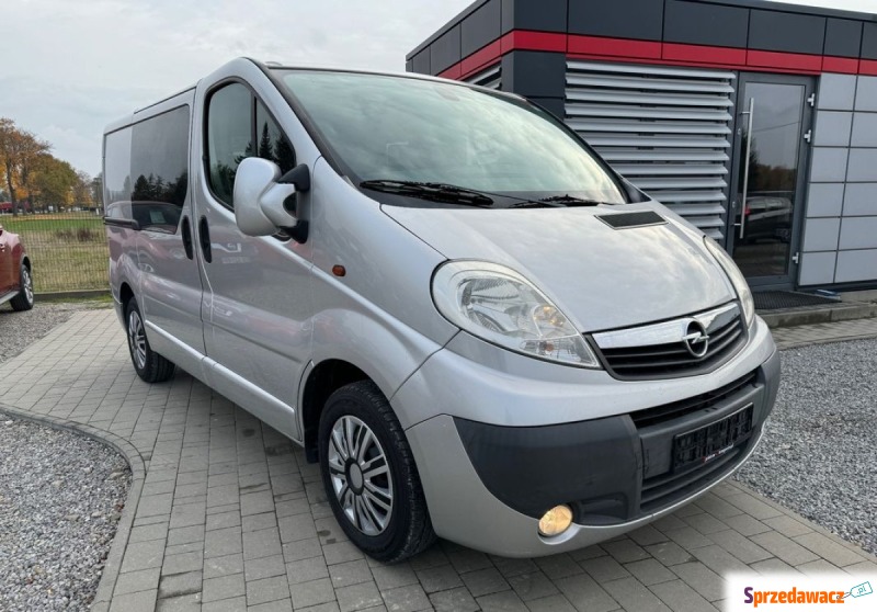 Opel Vivaro 2007,  2.0 diesel - Na sprzedaż za 29 999 zł - Strzegocice