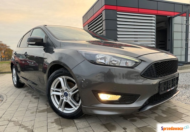 Ford Focus 2017,  1.0 benzyna - Na sprzedaż za 37 999 zł - Strzegocice