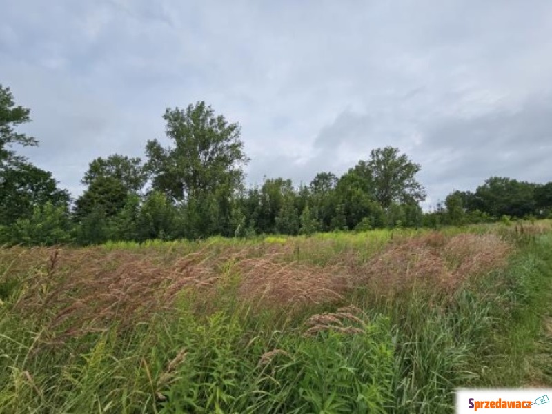 Działka przemysłowa na sprzedaż, 2772m², Głów... - Działki na sprzedaż - Główczyce