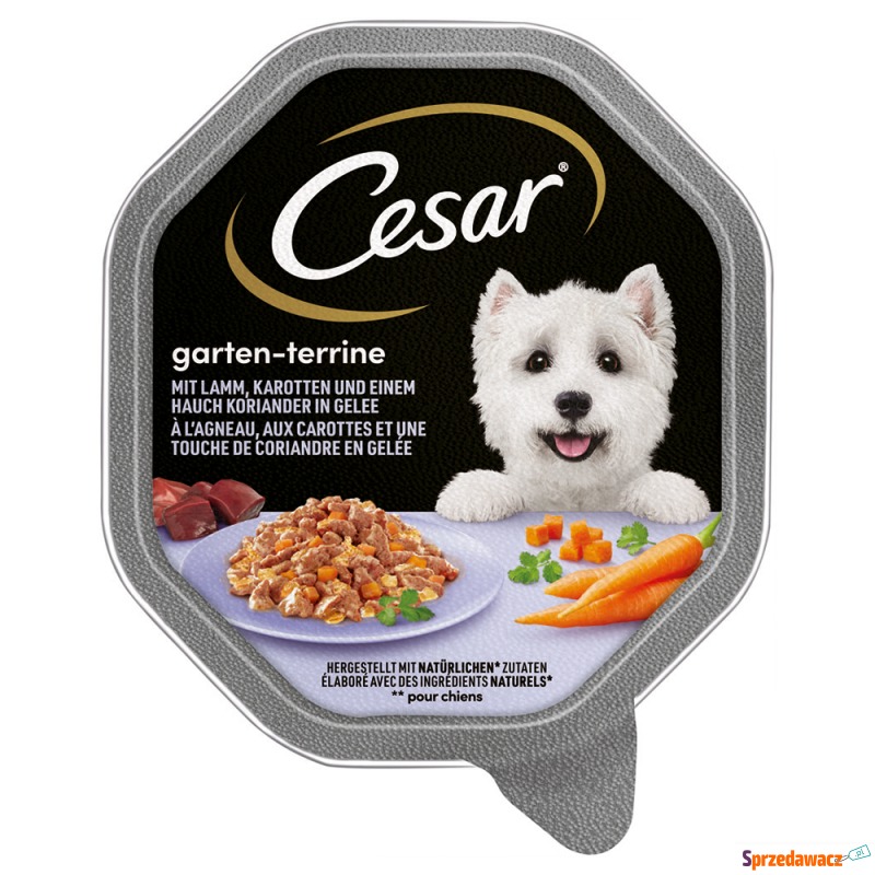 Megapakiet Cesar w tackach, 28 x 150 g - Jagn... - Karmy dla psów - Inowrocław