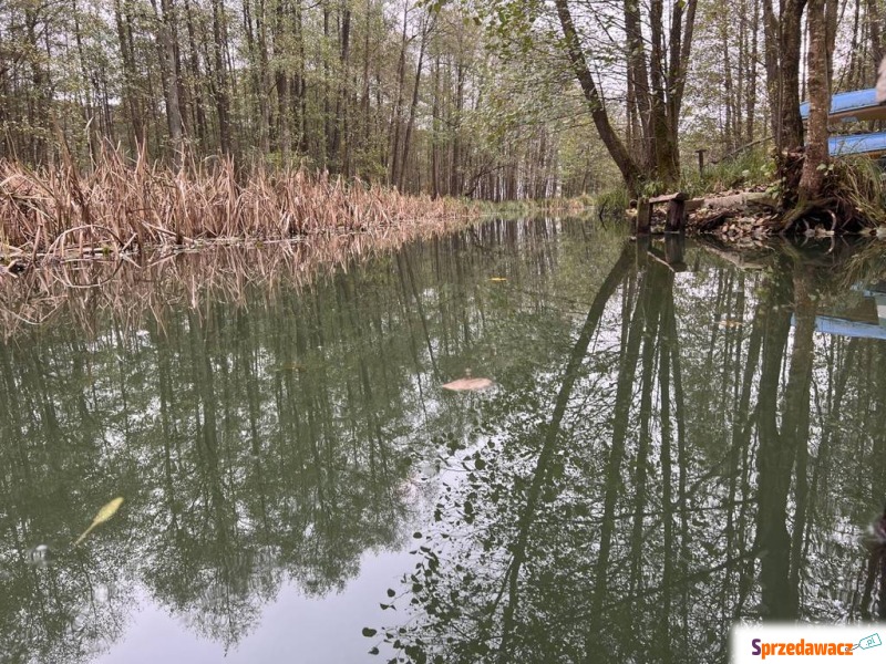 Dom na sprzedaż, 90m², 3 pokoje, działka 1300... - Domy na sprzedaż - Borowe