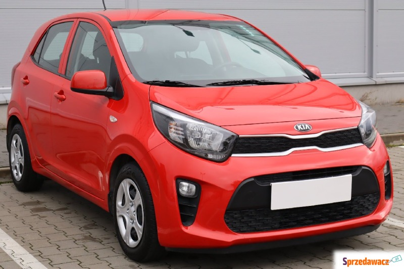 Kia Picanto  Hatchback 2021,  1.2 benzyna - Na sprzedaż za 49 999 zł - Poznań