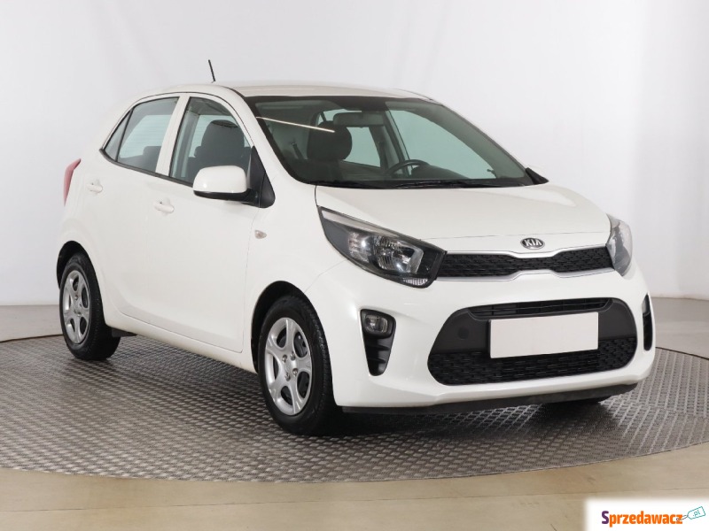 Kia Picanto  Hatchback 2019,  1.0 benzyna - Na sprzedaż za 39 999 zł - Zabrze