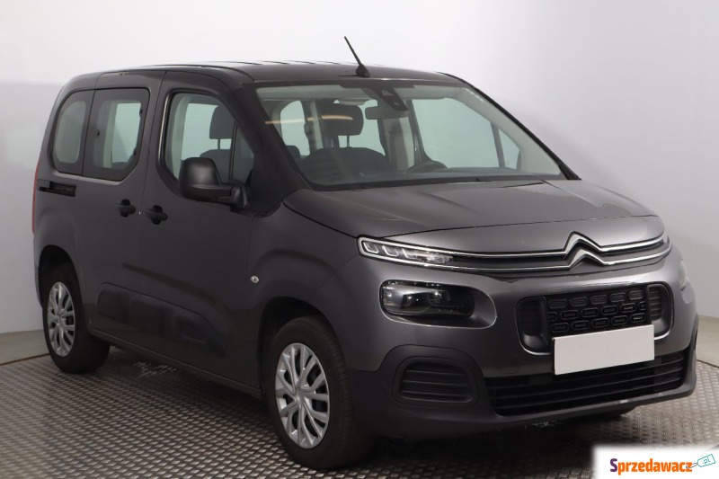 Citroen Berlingo  Pick-up 2020,  1.5 diesel - Na sprzedaż za 64 999 zł - Bielany Wrocławskie