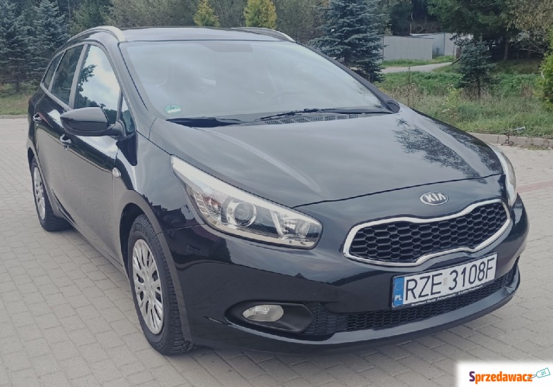 Kia Ceed  Kombi 2014,  1.4 benzyna - Na sprzedaż za 35 900 zł - Błażowa Dolna