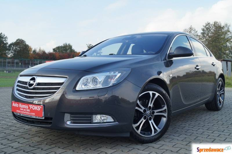 Opel Insignia  Hatchback 2013,  2.0 diesel - Na sprzedaż za 31 500 zł - Goczałkowice-Zdrój