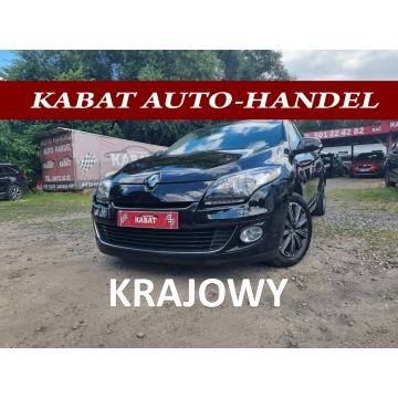 Renault Megane - Salon PL - Navi-Pdc-Klimatronik-Keyless go-Tempomat-BOSE