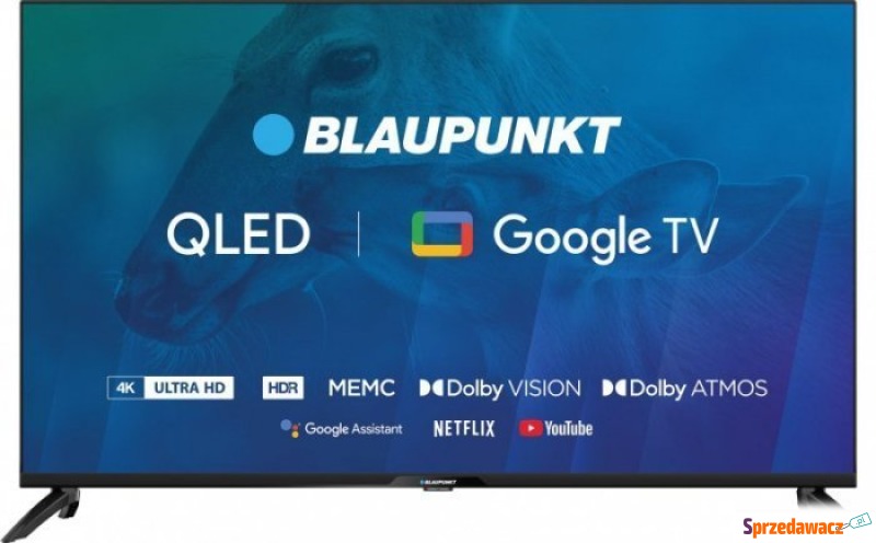 Telewizor Blaupunkt TV 43" Blaupunkt 43QBG7000S... - Telewizory - Lublin