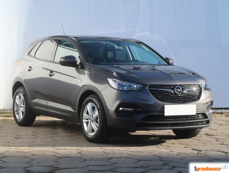 Opel   SUV 2020,  1.2 benzyna - Na sprzedaż za 83 999 zł - Łódź