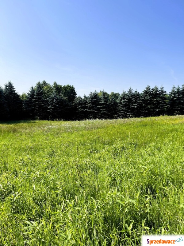 Działka budowlana Tarnowiec sprzedam, pow. 1600 m2  (16a), uzbrojona