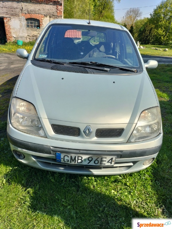 Renault Megane 2000 - Na sprzedaż za 2 100,00 zł - Miłoradz