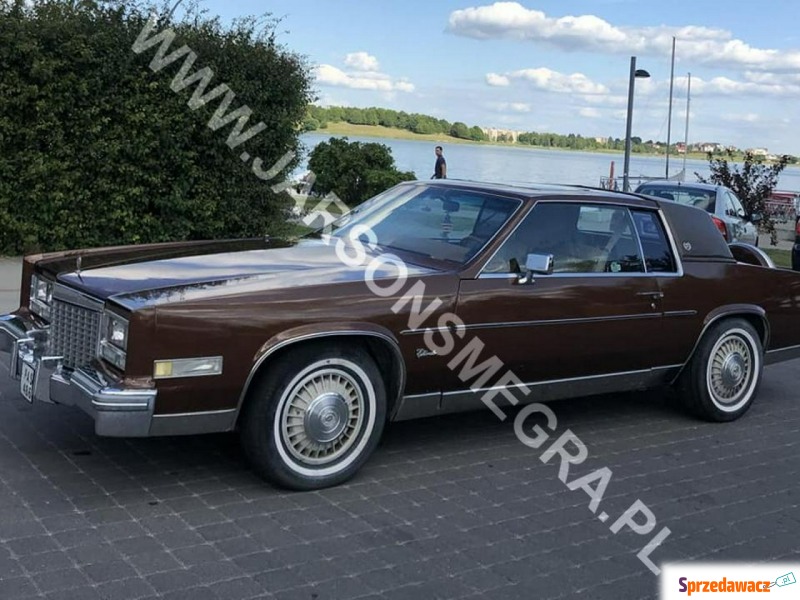 Cadillac Eldorado  Coupe/Sportowy 1979,  5.7 benzyna, automat - Na sprzedaż za 30 700 zł - Skoczów