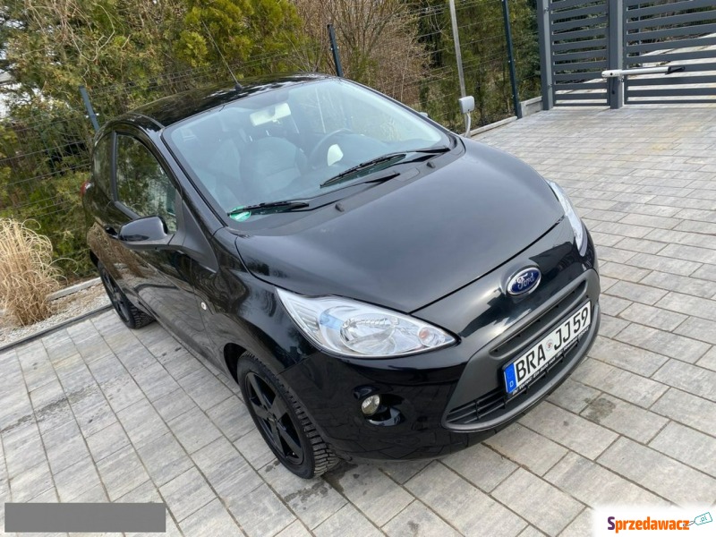 Ford KA  Hatchback 2009,  1.3 benzyna - Na sprzedaż za 15 500 zł - Poznań