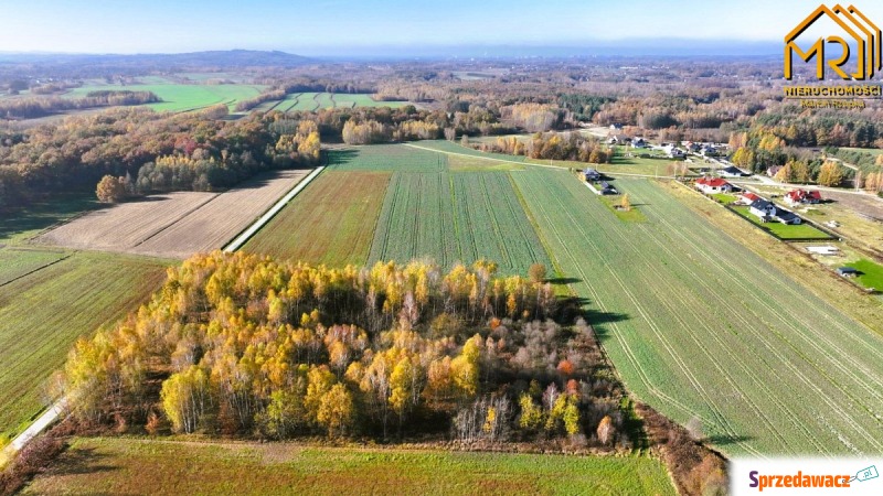 Działka budowlano-rolna w gminie Skrzyszów  - Działki na sprzedaż - Pogórska Wola