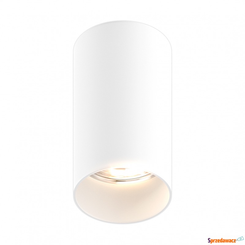 Spot TUBA SL 1 WHITE 92679