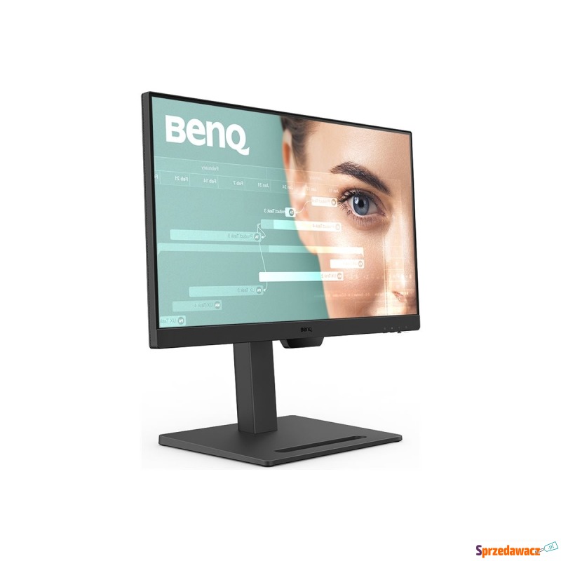 BENQ GW2490T 24inch IPS FHD 5MS 100Hz HMDI - Monitory LCD i LED - Chełmno