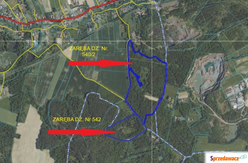 Przetarg - obręb Zaręba - Działki na sprzedaż - Zaręba