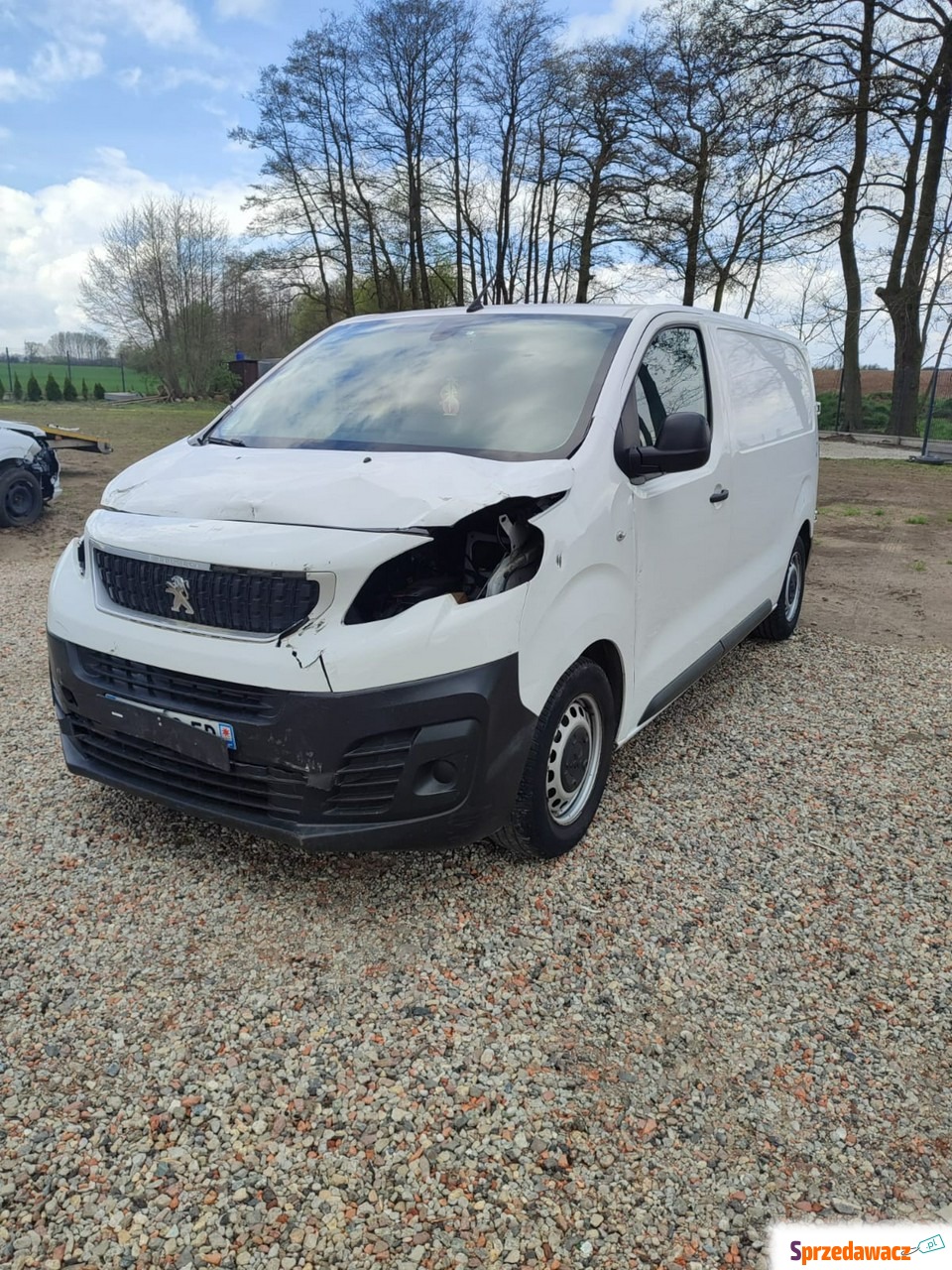 Peugeot Expert 2018