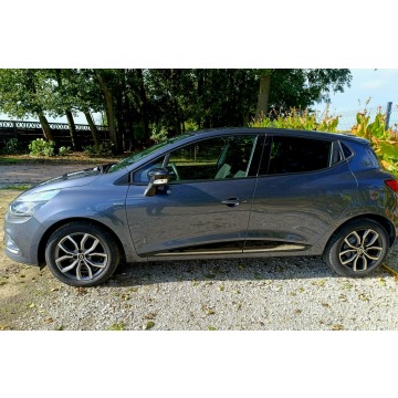 Renault Clio  Hatchback 2019,  0.9 benzyna - Na sprzedaż za 19 999 zł - Pleszew - zdjęcie 2