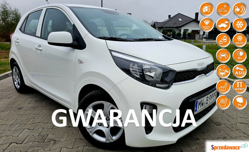 Kia Picanto  Hatchback 2023,  1.0 benzyna - Na sprzedaż za 45 900 zł - Grudziądz