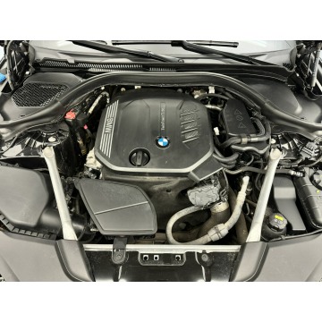 BMW Seria 5 2020,  2.0 diesel, automat - Na sprzedaż za 149 900 zł - Poznań - zdjęcie 10