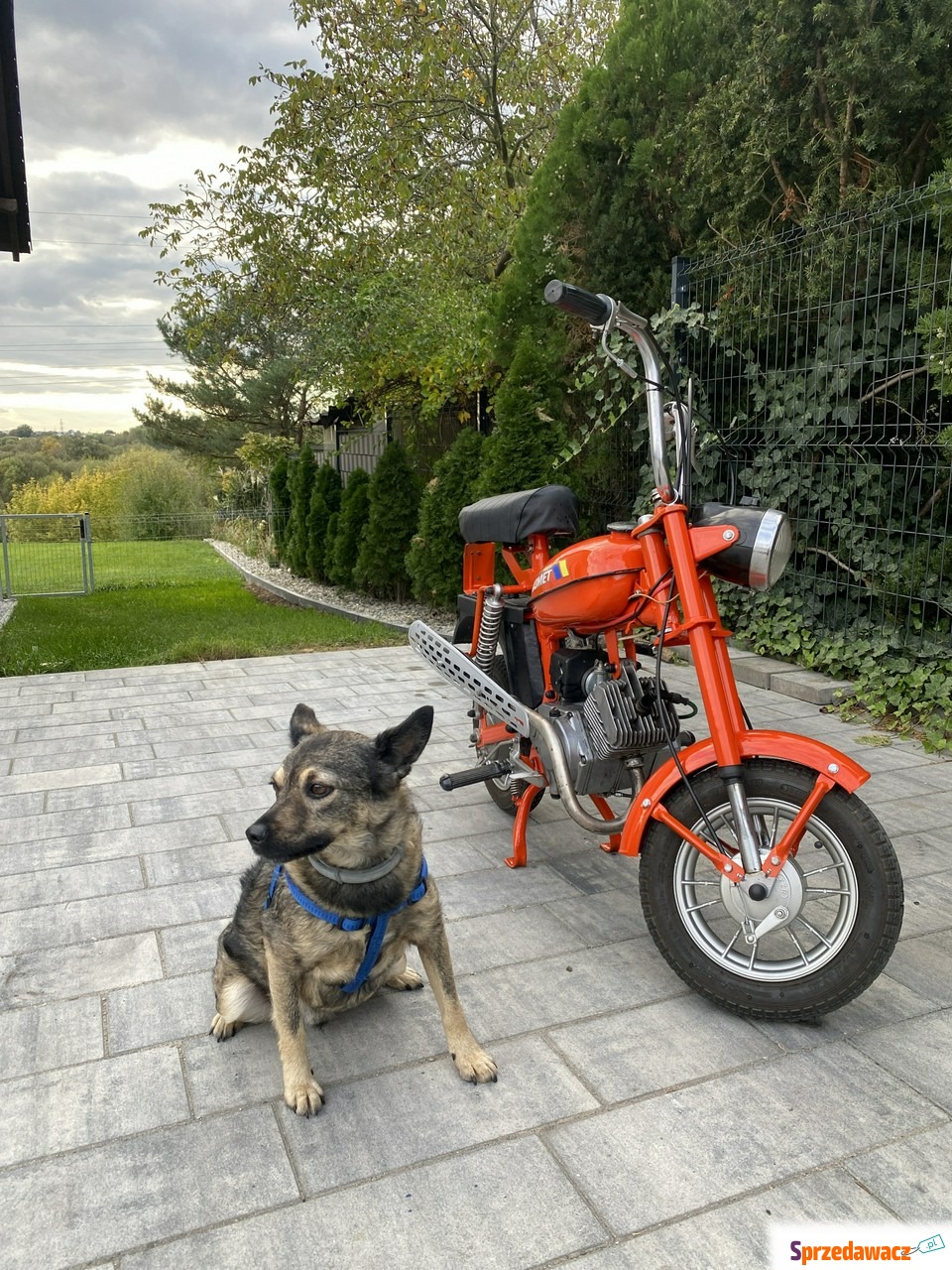Romet inny - Motorynka  ( Polski...
