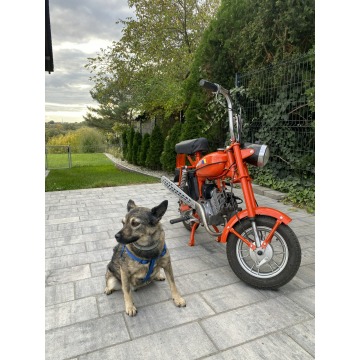 Romet inny - Motorynka  ( Polski Harley dla ubogich )