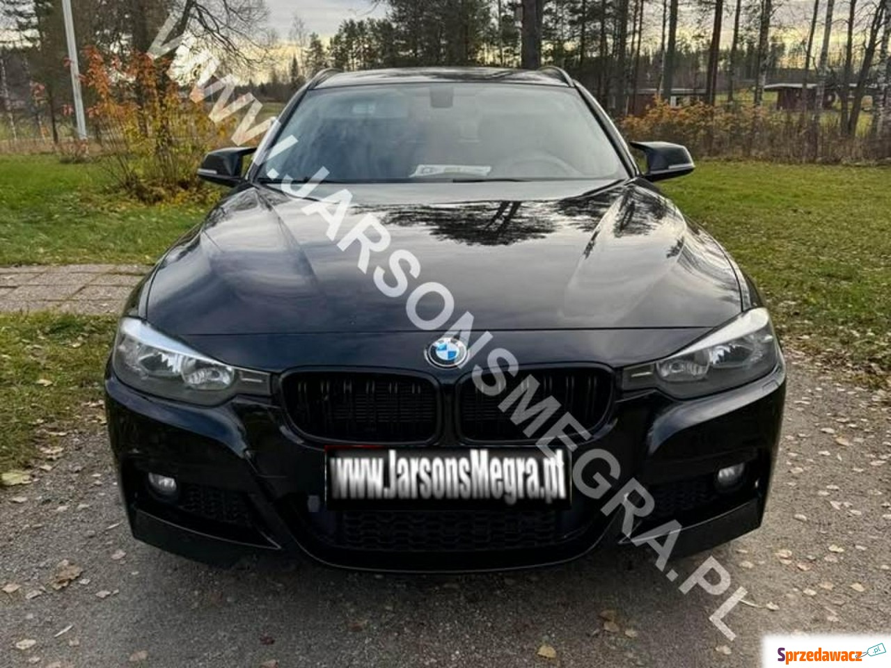BMW Seria 3 2013