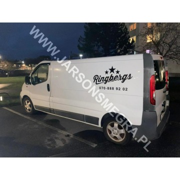 Opel Vivaro  Minivan/Van 2009,  2.5 diesel, automat - Na sprzedaż za 8 000,00 zł - Skoczów - zdjęcie 2