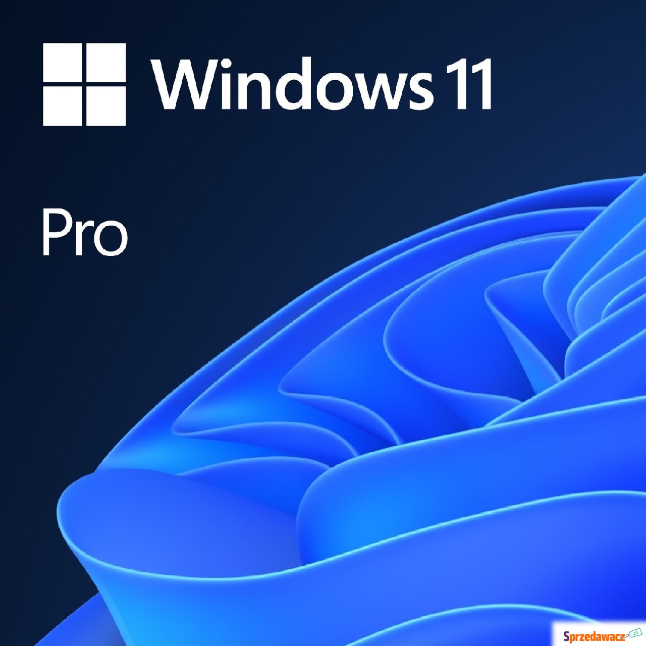 System operacyjny Windows 11 Pro...