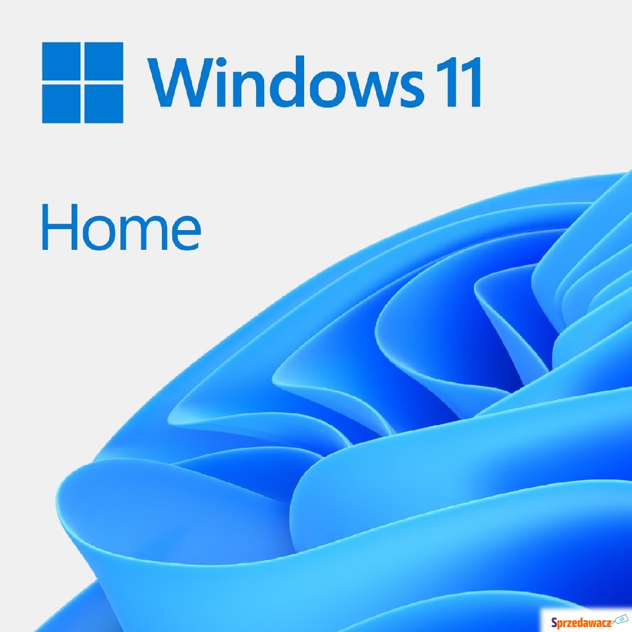 System operacyjny Windows 11 Home...