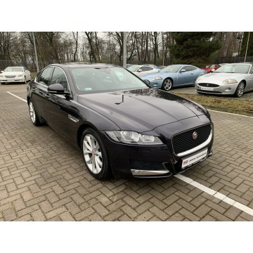 Jaguar XF  Sedan/Limuzyna 2015,  2.0 diesel, automat - Na sprzedaż za 69 900 zł - Kraków - zdjęcie 3