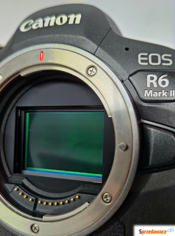 Czyszczenie Matrycy w Aparatach Canon Nikon Sony... - Usługi serwisowe, mo... - Poznań