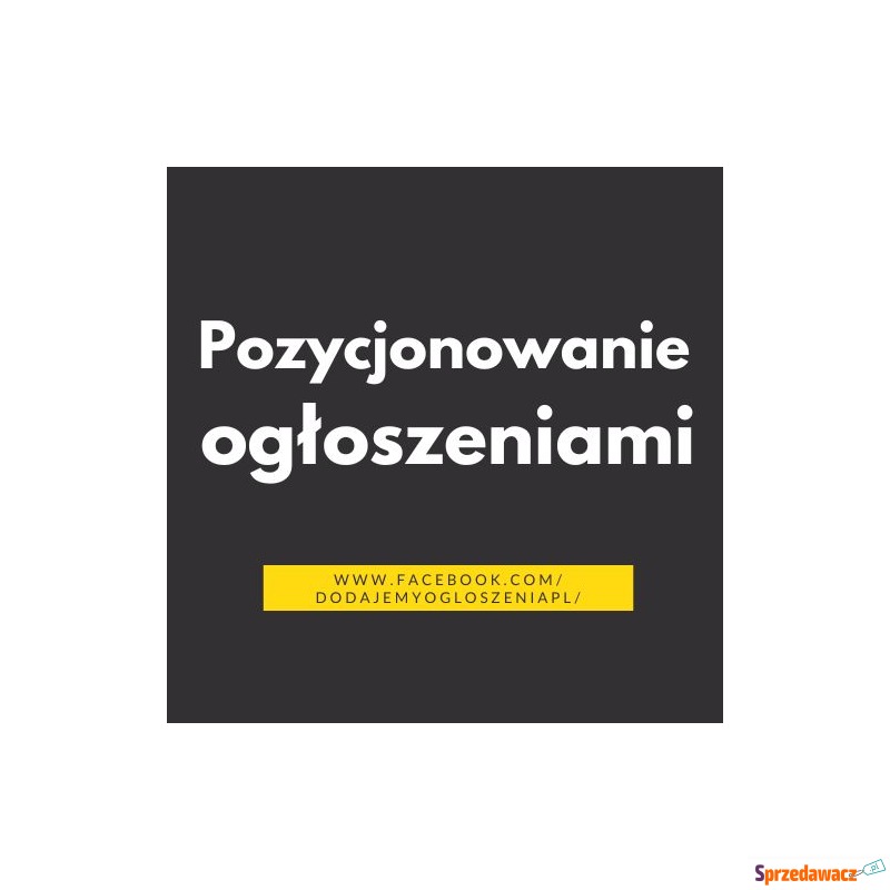 Linki z ogłoszeń SEO - Klucz do lepszego pozy... - Reklama, marketing - Wrocław