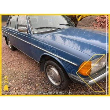 Mercedes inny - 200 Manual, 109hp, 1985