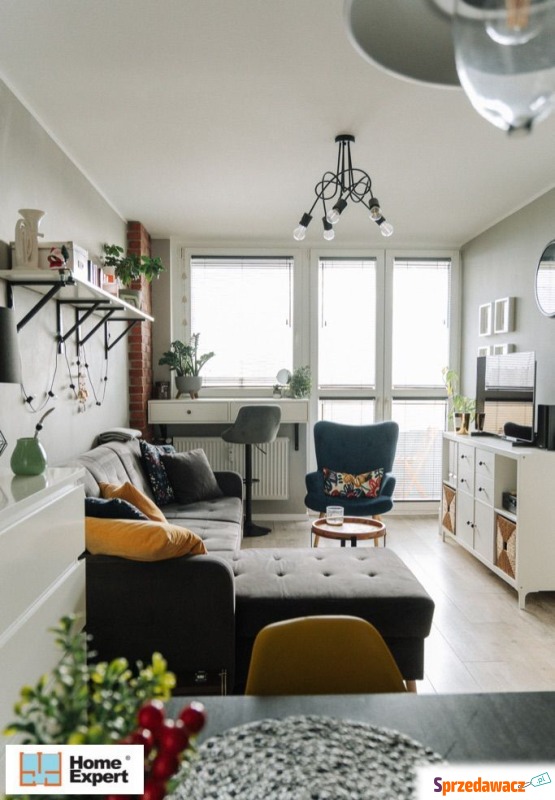 2pok, 41met, okolice Jastrzębiej...