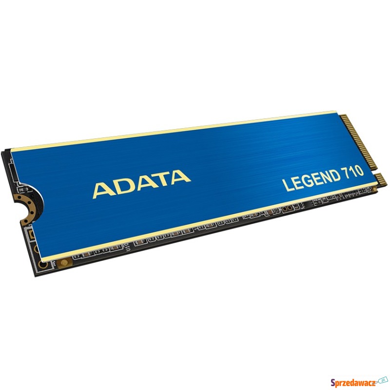 Adata LEGEND 710 M.2 PCIe 256GB - Dyski twarde - Katowice