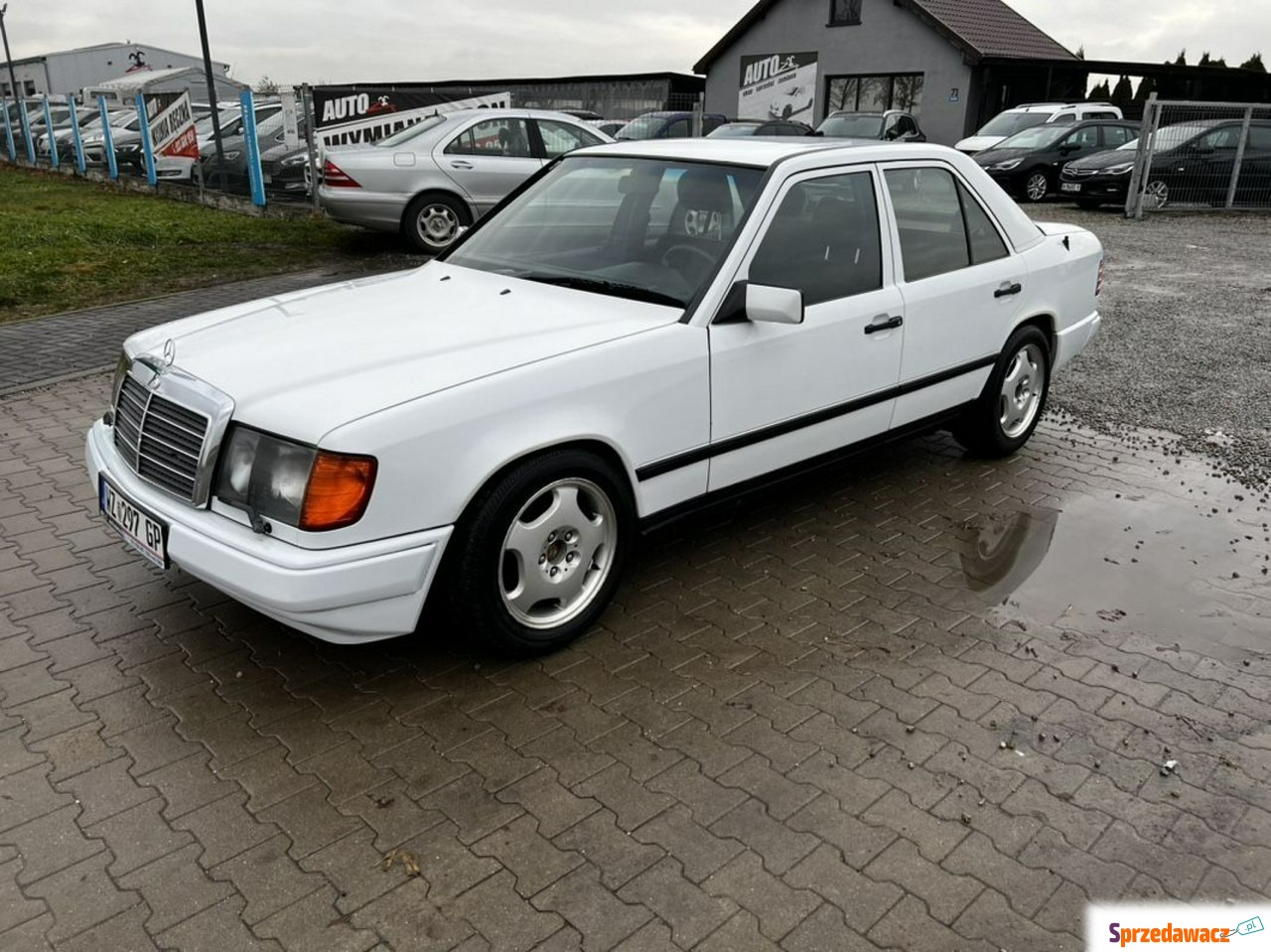 Mercedes W124 - Perfekcyjny Stan...