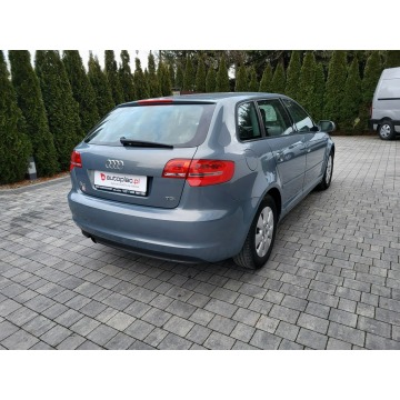 Audi A3  Hatchback 2011,  1.6 diesel - Na sprzedaż za 30 900 zł - Jatutów - zdjęcie 7