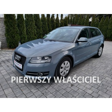 Audi A3 - ** Przebieg 180 Tys Km ** Serwis w ASO ** Bezwypadkowy **