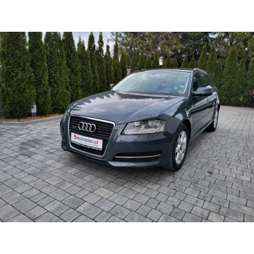Audi A3  Hatchback 2010,  2.0 diesel - Na sprzedaż za 29 500 zł - Jatutów - zdjęcie 2