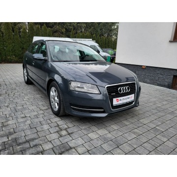 Audi A3  Hatchback 2010,  2.0 diesel - Na sprzedaż za 29 500 zł - Jatutów - zdjęcie 3